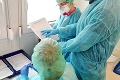 Rozhodli sa priložiť ruku k dielu: Medici pomáhajú v boji s koronavírusom