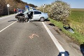 Tragická nehoda pri Nitre: Reného († 25) jazda stála život 3 ľudí