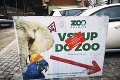 Vážna situácia v bojnickej zoo: Pre vtáčiu chrípku utratili už 41 zvierat
