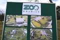 Bojnická zoo súčasťou dvoch jedinečných programov: Takto prispieva k záchrane šeliem