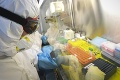 Holandsko bojuje s koronavírusom: Miera infekcie klesla na polovicu