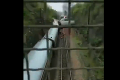 V Číne sa vykoľajil vlak: 127 ľudí sa zranilo, železničný policajt zomrel
