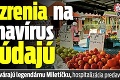 Podozrenia na koronavírus pribúdajú: V Bratislave zatvárajú legendárnu Miletičku, hospitalizácia predavačky!