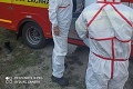 Práca hasičov počas karantény: Navrátilcom z cudziny odoberajú vzorky