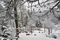To je pohľad! Záhradkárov i meteorológov prekvapil sneh: Dokedy nás ešte bude trápiť zima?