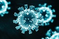 Najväčšie epidémie a pandémie v dejinách ľudstva: Vírusy a baktérie zabíjali ľudí po miliónoch!
