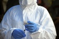 Rekordný nárast výskytu eboly: V tejto krajine sa za deň objavilo 15 nových prípadov nakazenia