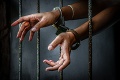 Irán prepustil britsko-austrálsku akademičku: Bola v najnebezpečnejšej väznici pre ženy