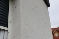 Janov dom pokryli čierne bodky, až keď sa prizrel bližšie, pochopil: Invázia dravého hmyzu?