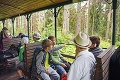 Vlakom do lesa: Vychutnajte si jazdu kysuckou železničkou do srdca prírody
