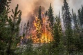 Nad Tatranskou Štrbou horí mladý les, na mieste sú desiatky hasičov