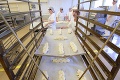 Názor pekárov na testovanie by si mal prečítať aj premiér: Po celoplošnej akcii hlásia výpadok zamestnancov