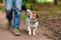 Otec s dcérami si vyšiel do prírody so psom: Jediná prechádzka zmenila život celej rodiny