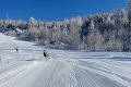 Nezvyčajný zážitok zo svahu v Tatranskej Lomnici: Štvornohý votrelec sa pridal k lyžiarom!