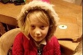 Čin, ktorý si zaslúži odsúdenie: Zlodeji ukradli autistickému dievčaťu jedinú radosť v živote