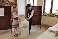 Parlamentné voľby 2020: Zaujímavosti a veľký prehľad, ako volilo Slovensko