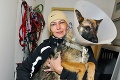 Projekt košickej karanténnej stanice sa skončil fiaskom: Od 1. marca nemá kto chytať túlavé psy