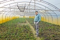 Pestovatelia v Martovciach sú v dedine raritou: Prvá jarná cibuľka vo februári