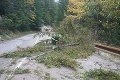 Vyčíňanie počasia v Prievidzi: Silný vietor vyvrátil v meste 19 stromov