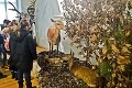Zaujímavá výstava vo Zvolene: Z múzea je živý les s hladným jeleňom