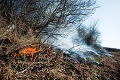 Východné Slovensko v ohni: Hasiči zasahovali pri požiaroch trávy vo viacerých obciach