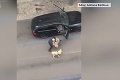 Šokujúce video s taxikárom, ktorý vyhodil z auta nevidiacu ženu aj jej psa: Prečo som to urobil!