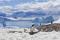 Neveriacky pozerali aj vedci: Niečo také sa v Antarktíde ešte nikdy nestalo, nový rekord vyvoláva obavy