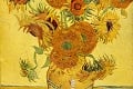 Inšpirovali Van Gogha či Gauguina: Slnečnice v Zalesí prilákali namiesto včiel fotografov