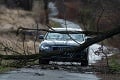 Orkán napáchal v Česku značné škody a spôsobil nehody: Energetici vyhlásili kalamitný stav