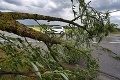 Ani našich susedov počasie nešetrí: V Maďarsku vyvrátené stromy ochromili dopravu