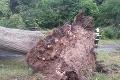 Ďalšie nešťastie pre silný vietor: Strom sa zrútil na dve deti
