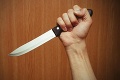 Chlapec (8) útočil v škole kuchynským nožom: Traja žiaci sú zranení!