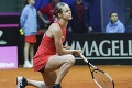 Dauha Slovákom nežičila: Trio na Australian Open nedoplnil nikto
