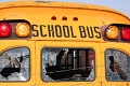 V USA sa zrazili dva školské autobusy, množstvo detí skončilo v nemocnici