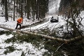 Silný vietor devastoval Slovensko: Školáci zostali na lyžiarskom zájazde odrezaní od sveta, pohroma v útulku