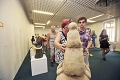 V Lučenci otvorili výstavu pre nevidiacich: Umenie si prezerali rukami!