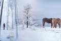 Slováci sú unavení zo zimy bez snehu: Video odhaľuje, kam sa podela Perinbaba! Tú nádheru musíte vidieť