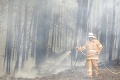Východ Austrálie sa teší z hustého dažďa: Konečne sa zmiernili lesné požiare