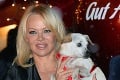 Pamela Anderson si vymazala Instagram aj Facebook: Posledný odkaz fanúšikom
