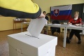 Prezidentské voľby 2019: Slováci zo zahraničia musia mať pri odovzdaní hlasu tieto doklady