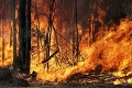 Peklo v Austrálii: Lesné požiare zničili 40 percent Veľkého piesočného ostrova