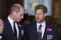 Fanúšikovia britských princov vo vytržení: Zásadná zmena vo vzťahu Williama a Harryho