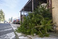 Mesto Humenné je nespokojné so správaním obyvateľov: Ich vianočné stromčeky končia tam, kde nepatria
