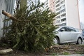 Alarmujúci nárast odpadu počas Vianoc! Stanovištia zberných nádob sa už teraz zapĺňajú stromčekmi