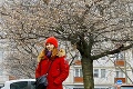 Nezvyčajný úkaz pri Račianskom mýte v Bratislave vás zarazí: Stromy rozkvitli ako na jar