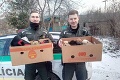 Nazriete týmto slovenským policajtom do škatúľ od banánov, rozbúcha sa vám srdce: Zachránili 11 šteniatok!
