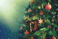Spálenie, vyhodenie alebo vrátenie: Čo po Vianociach so stromčekom?