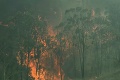 Ničivé lesné požiare v Austrálii: Vyžiadali si štyri obete, vypálili milión hektárov pôdy