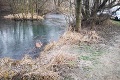 Mimoriadna brutalita v Košiciach: Pobodaného psíka museli vyťahovať spod ľadu