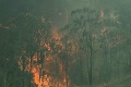 Megapožiare v Austrálii hasiči stále nemajú pod kontrolou: O život pripravili tisícky koál